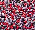 Red with purple haricot kidney beans background texture Royalty Free Stock Photo