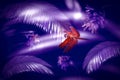 Red purple natural background. Ultraviolet fern leaves, flowers and dragonfly. 2018 year fashionable color Royalty Free Stock Photo