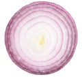 Red or purple onion slice isolated