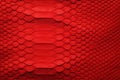 natural snake skin texture, red reptile leather as background Royalty Free Stock Photo