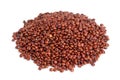Red quinoa seeds isolated on white background with clipping path and full depth of field