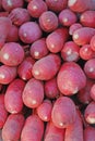 Red Raddish in a market stall Royalty Free Stock Photo