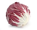 Red radicchio cabbage Royalty Free Stock Photo