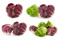 Red `radicchio` lettuce and green `little gem`lettuce Royalty Free Stock Photo