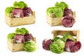 Red `radicchio` lettuce and green `little gem`lettuce in a wooden box Royalty Free Stock Photo