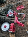Red radio flyer tricycle laying under oak tree