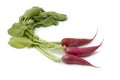 Red Radish Royalty Free Stock Photo
