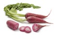 Red Radish Royalty Free Stock Photo