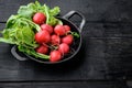 Red radish bunch with green leaves, on black wooden table background, with copy space for text Royalty Free Stock Photo