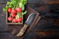 Red radish bunch with green leaves, on old dark  wooden table background, top view flat lay, with copy space for text Royalty Free Stock Photo