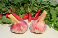 Red radish and garlic.