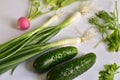 Red radish with green leaves, dill with parsley, onions and cucumbers on white Royalty Free Stock Photo