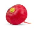 Red radish isolated on white Royalty Free Stock Photo