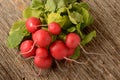 Red radish