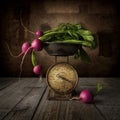 Red radish with a small vintage scale photography