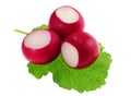 Red radish vegetable Royalty Free Stock Photo