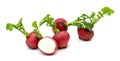 Red radish vegetable. Royalty Free Stock Photo