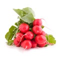 Red radish vegetable Royalty Free Stock Photo