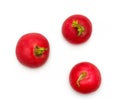 Red radish vegetable Royalty Free Stock Photo