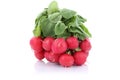 Red radish vegetable isolated Royalty Free Stock Photo