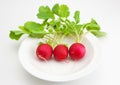Red radish on white plate. Royalty Free Stock Photo