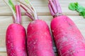 Red radish