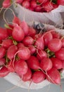 Red Radishes Royalty Free Stock Photo