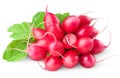 Red radishes