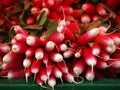 Red radishes Royalty Free Stock Photo