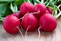 Red Radishes