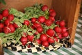 Red Radishes Royalty Free Stock Photo