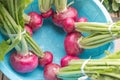 Red radishes on blue basket