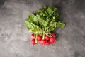 Red radishes bunch on a grey background. Top view Royalty Free Stock Photo