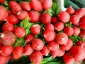 Red radishes Royalty Free Stock Photo