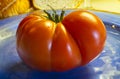 Red raf tomato on blue plate