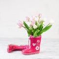 Red boots with tulips on wooden background Royalty Free Stock Photo