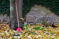 Red rake leaning on tree