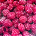 Red raspberries