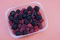 Red raspberries and black blackberries in a plastic box