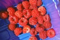 Red raspberries in a blue plastic container. Harvesting summer fruits in unsustainable plastic packaging Royalty Free Stock Photo