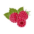 Red raspberries with green leaves closeup on a white background Royalty Free Stock Photo