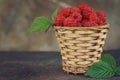 Red raspberries with green leaves in a small wicker basket Royalty Free Stock Photo