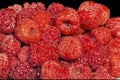 Red raspberries on black background Royalty Free Stock Photo