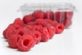 Red raspberries in plastic container Royalty Free Stock Photo