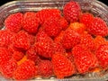 Red raspberries in plastic package isolated on black background Royalty Free Stock Photo