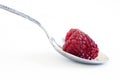 Red raspberries in silver spoon