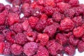 Red Raspberries in a square wooden pint container full isolated on white. Red raspberries in a white container. Red raspberry Royalty Free Stock Photo