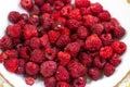 Red Raspberries in a square wooden pint container full isolated on white. Red raspberries in a white container. Red raspberry Royalty Free Stock Photo