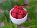 Red raspberries in a white bowl surrounded by raspberry leaves Royalty Free Stock Photo