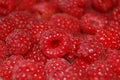 Red raspberry